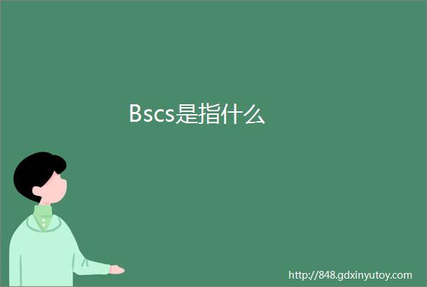 Bscs是指什么